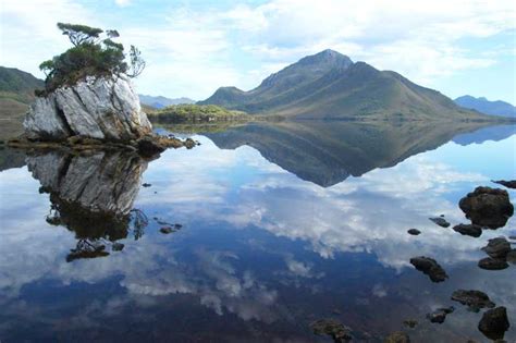 Tasmanian Wilderness World Heritage Area: Day Tour | GetYourGuide