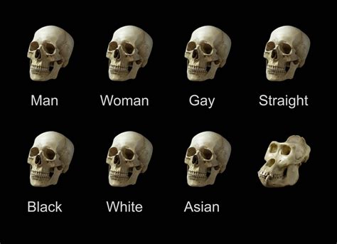 Made very HD skull meme with dark theme, invest now before it loses all the pixels : MemeEconomy