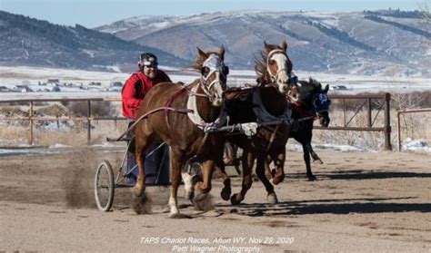 Chariot Racing World Championships Moving to Star Valley – SVI-NEWS