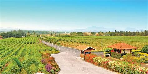 From 2000 to 2020: Decoding the story of Sula, one of India’s cult wine ...