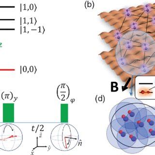 (PDF) Many-Body Dynamics of Dipolar Molecules in an Optical Lattice