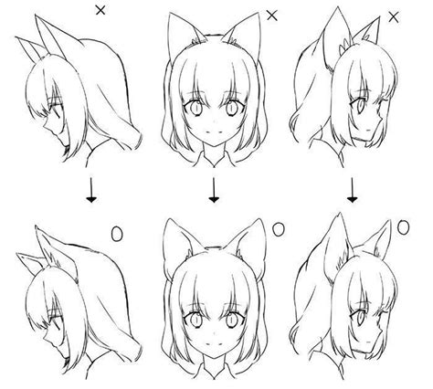 Anime Cat Ears Reference Realistic domesticated feline ear tutorial by ...