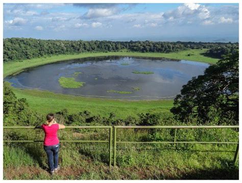 Marsabit National park | Birding Safaris in Kenya | Kenya Birding Tours