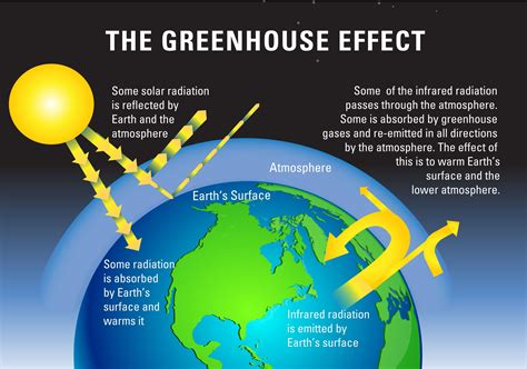 ARTICLE | Top 22 Benefits of Trees | Greenhouse effect, Greenhouse gases, Greenhouse gases effect