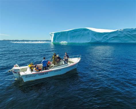 Up Close and Personal with Icebergs in Twillingate - Wandering Wagars