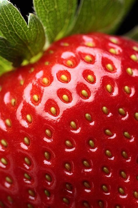 Fresh strawberry close-up - Close-up detail of a fresh red strawberry with leaves | Fruit ...