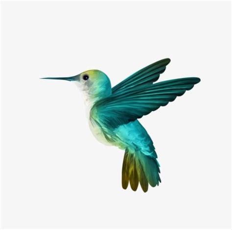 Hummingbird PNG, Clipart, Animal, Birds, Cute, Cute Little Birds ...