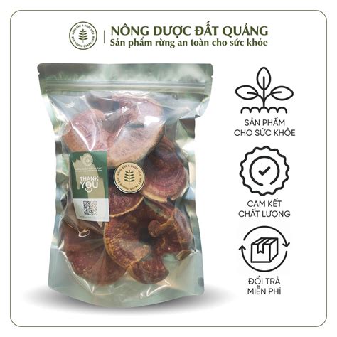 Natural Forest Red Linh Chi Mushroom Guangzhou Men | Ganoderma lucidum | 500gram Bag | Shopee ...