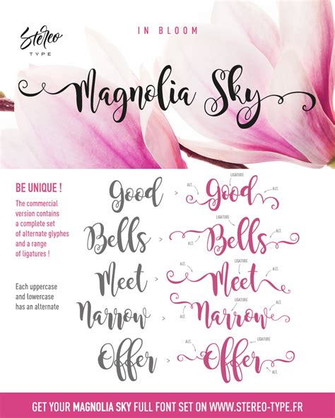 Pin by Shannon on fabulously free fonts | Silhouette fonts, Free calligraphy fonts, Lettering