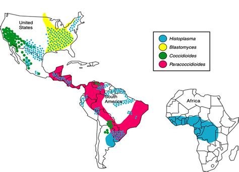 Histoplasma World Map