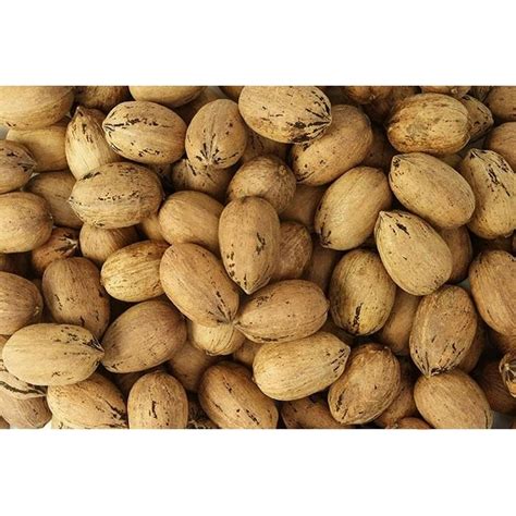 In Shell Pecans For Sale | Inshell - Walmart.com - Walmart.com