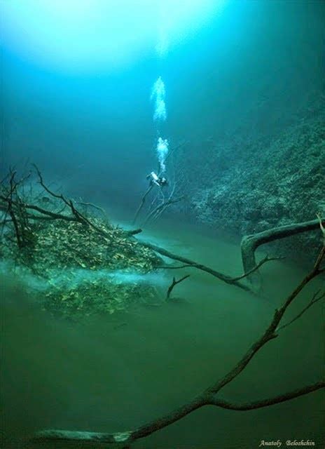 Mexico Underwater River Flowing Under the Ocean