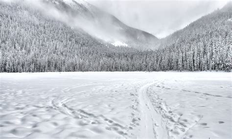 4 Children Who Went Missing during Blizzard Found Alive 18 Miles from ...