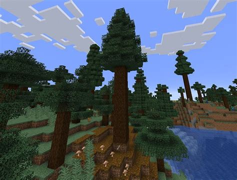 Giant Spruce Taiga Hills in Minecraft