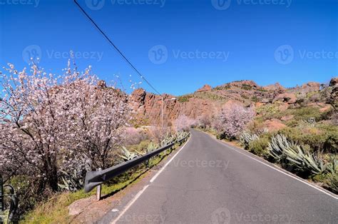 Scenic road view 22121233 Stock Photo at Vecteezy