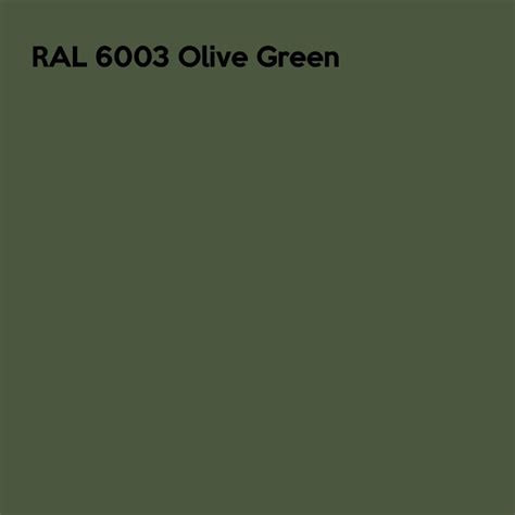 DIP BITE HYDROGRAPHIC PAINT RAL 6003 OLIVE GREEN – Dip Pros