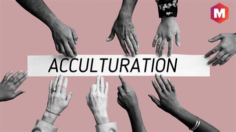 Acculturation - Overview, Process and Strategies | Marketing91