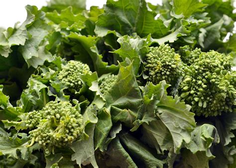 What Is Broccoli Rabe and How Is It Used?