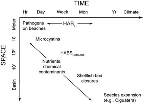 Examples of the characteristic temporal and spatial scales utilized in ...