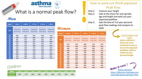 Peak Flow (Pef) Diary Chart Download Printable PDF, 40% OFF