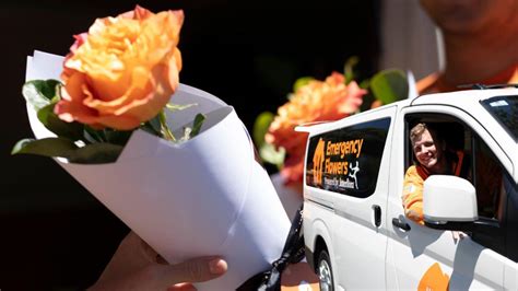 Emergency Valentine’s Day roses delivery for Sydney | 7NEWS