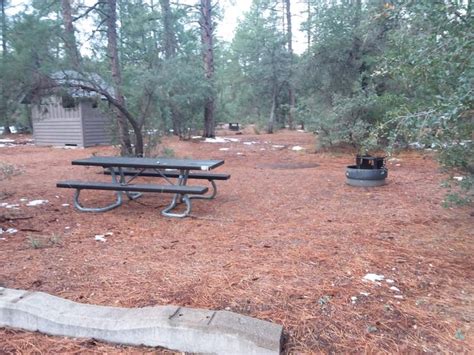 Timber Camp Recreation Area and Group Campgrounds, Tonto National Forest - Recreation.gov