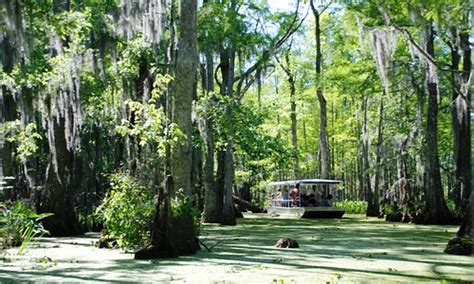 Slidell, LA 2024: Best Places to Visit - Tripadvisor