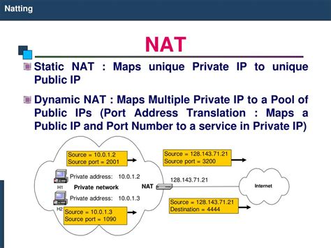 PPT - Natting PowerPoint Presentation, free download - ID:1629935