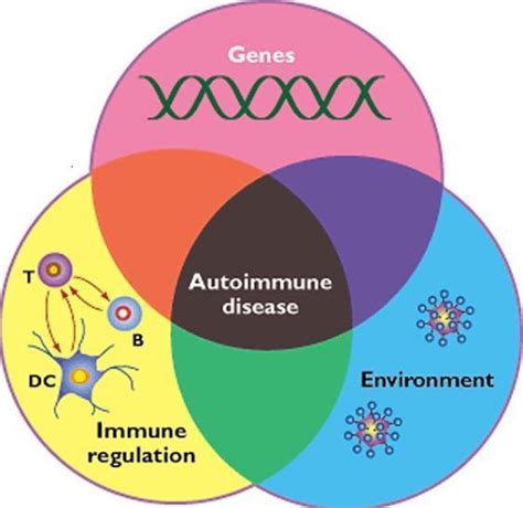 What causes autoimmune disease? – What causes this?