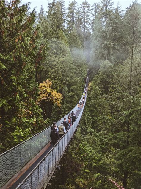 Canyon Frights will haunt Capilano Suspension Bridge Park this ...