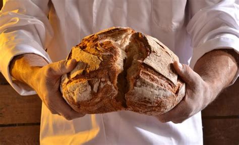 History Buff Bakes Ancient Egyptian Bread Using 1,500-Year-Old Yeast Scrapings | Science and ...