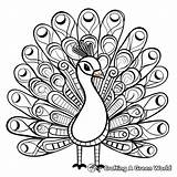 Abstract Peacock Coloring Pages  Free & Printable sketch template