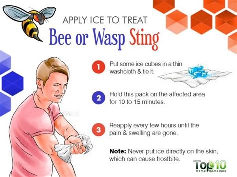 How to Treat a Bee or Wasp Sting | Top 10 Home Remedies | Wasp stings, Remedies for bee stings, Wasp