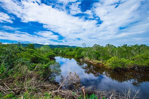 Phu Quoc for nature lovers | Vietnam Tourism