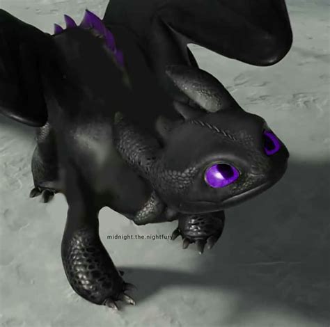 Pin by Anita M. Shelly G. on HTTYD / RTTE | How to train dragon, Httyd dragons, How to train ...