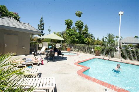 Ayres Hotel Anaheim Pool Pictures & Reviews - Tripadvisor