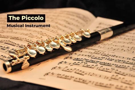 Piccolo: A Musical Instruments - Phamox Music