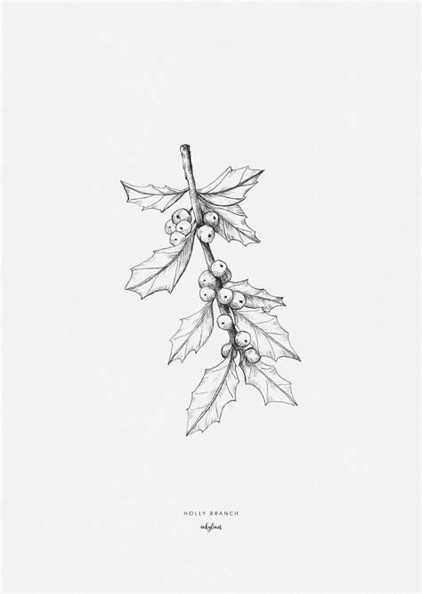 Plants - Holly branch | Winter tattoo, Tattoo graphic, Flower drawing