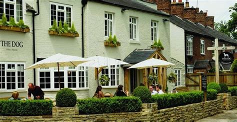 THE DOG, Knutsford - Updated 2024 Restaurant Reviews, Photos & Phone ...