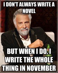 i don't always write a novel but when i do i write the whole thing in ...