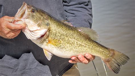 5 Easy Ways to Avoid Snagging Your Fishing Lures - Wired2Fish