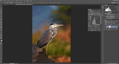 How to Blend Layers in Photoshop: Blend Modes Explained