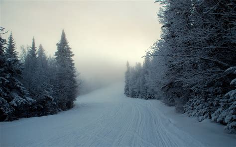 Snowy path in the foggy forest wallpaper - Nature wallpapers - #39676