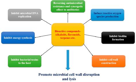 Figure 1 from Efficacy and Mechanism of Traditional Medicinal Plants ...