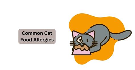 Cat Food Allergies | Managing Food Allergies in Cats | Waggle