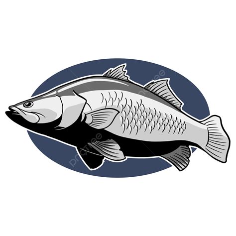 Perch Fish Vector Art PNG, Barramundi Nile Perch Fish, Barramundi, Nile ...