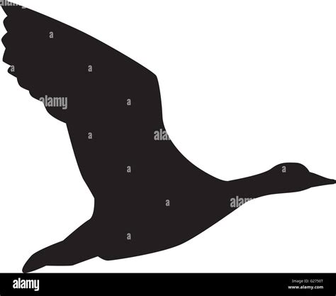 Flying Goose Silhouette Stock Vector Image & Art - Alamy