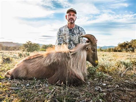 Himalayan Tahr Hunting | 60+ Species | 18,000 Acres in Texas | Ox Ranch