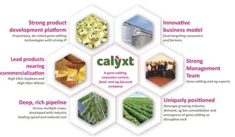 Calyxt IPO – TALEN Gene Editing in Agriculture - Nanalyze