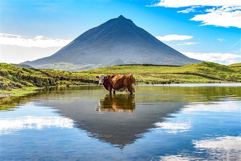 Amazing Natural Wonders in the Azores Islands, Portugal